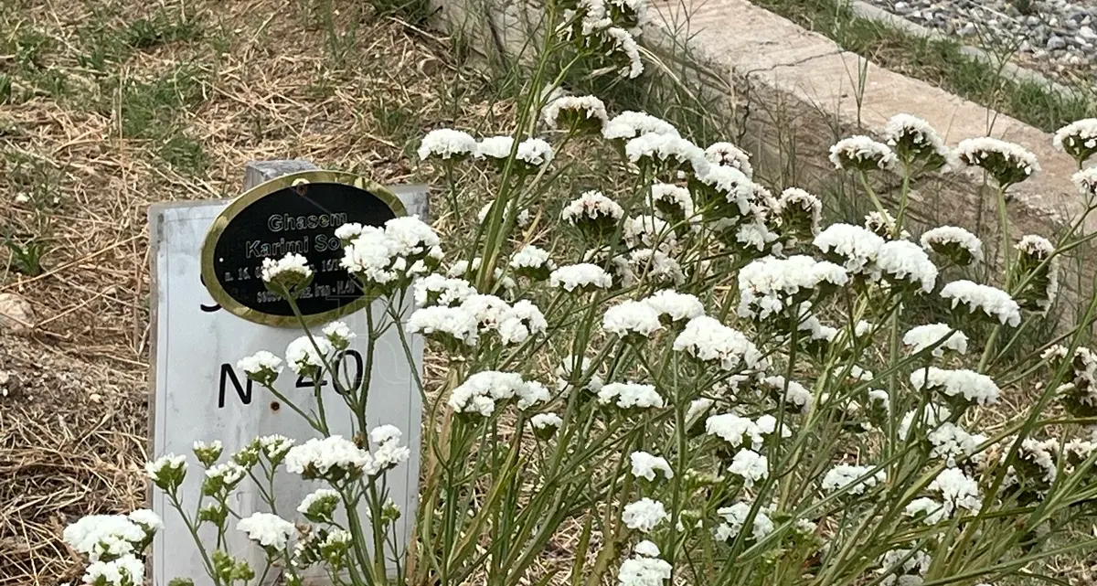 Il distacco universalmente doloroso: a Reggio la memoria \"migrante\" di chi è stato accolto oltre la vita\n