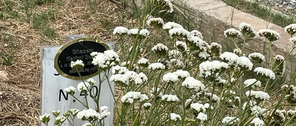 Il distacco universalmente doloroso: a Reggio la memoria \"migrante\" di chi è stato accolto oltre la vita\n