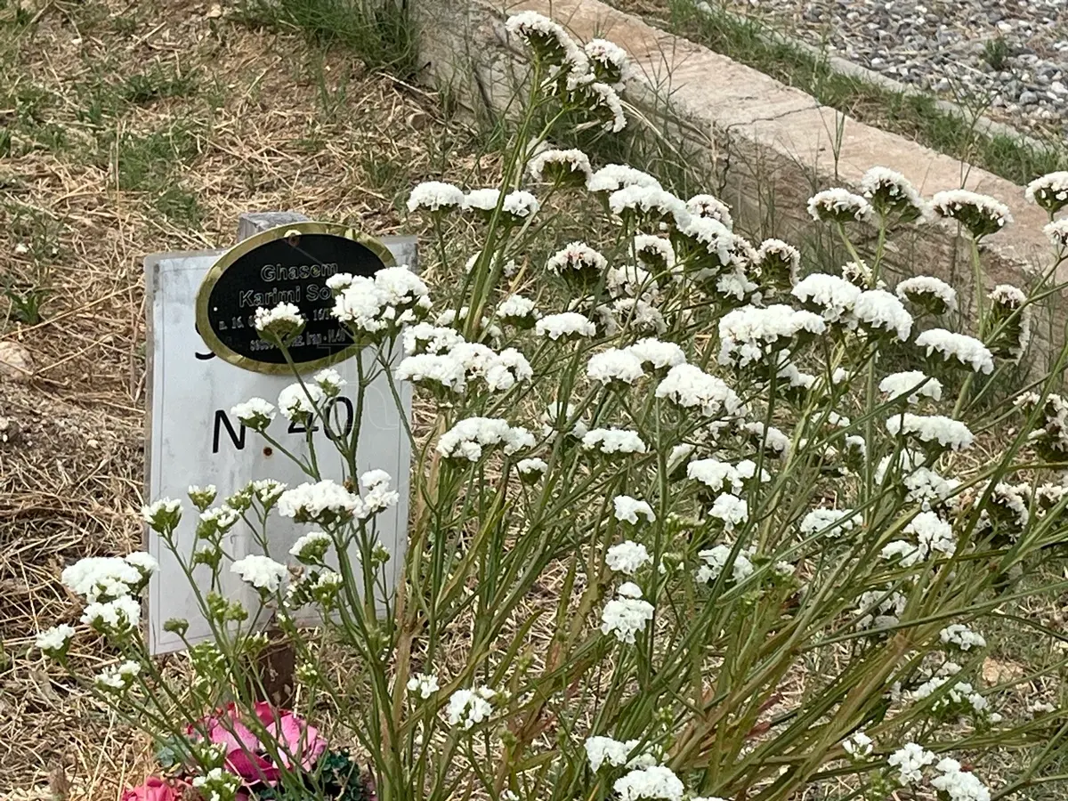 Il distacco universalmente doloroso: a Reggio la memoria \"migrante\" di chi è stato accolto oltre la vita