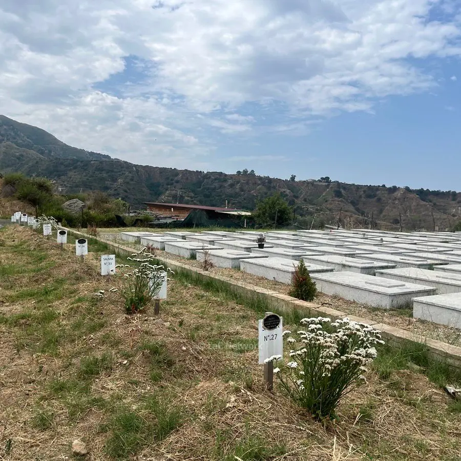 Oggi a Reggio rivive anche la memoria \"migrante\" di chi è stato accolto oltre la vita