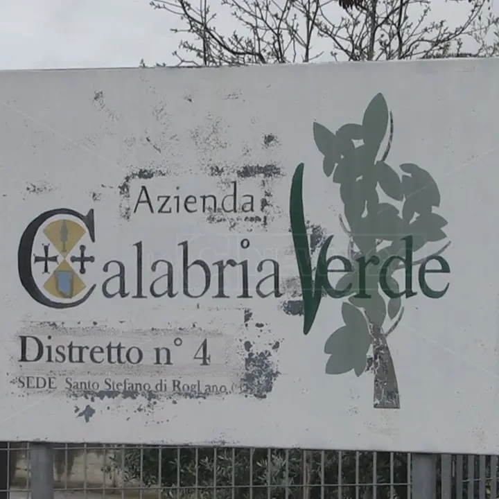 Calabria Verde, la Regione apre l’avviso per il nuovo direttore generale\n