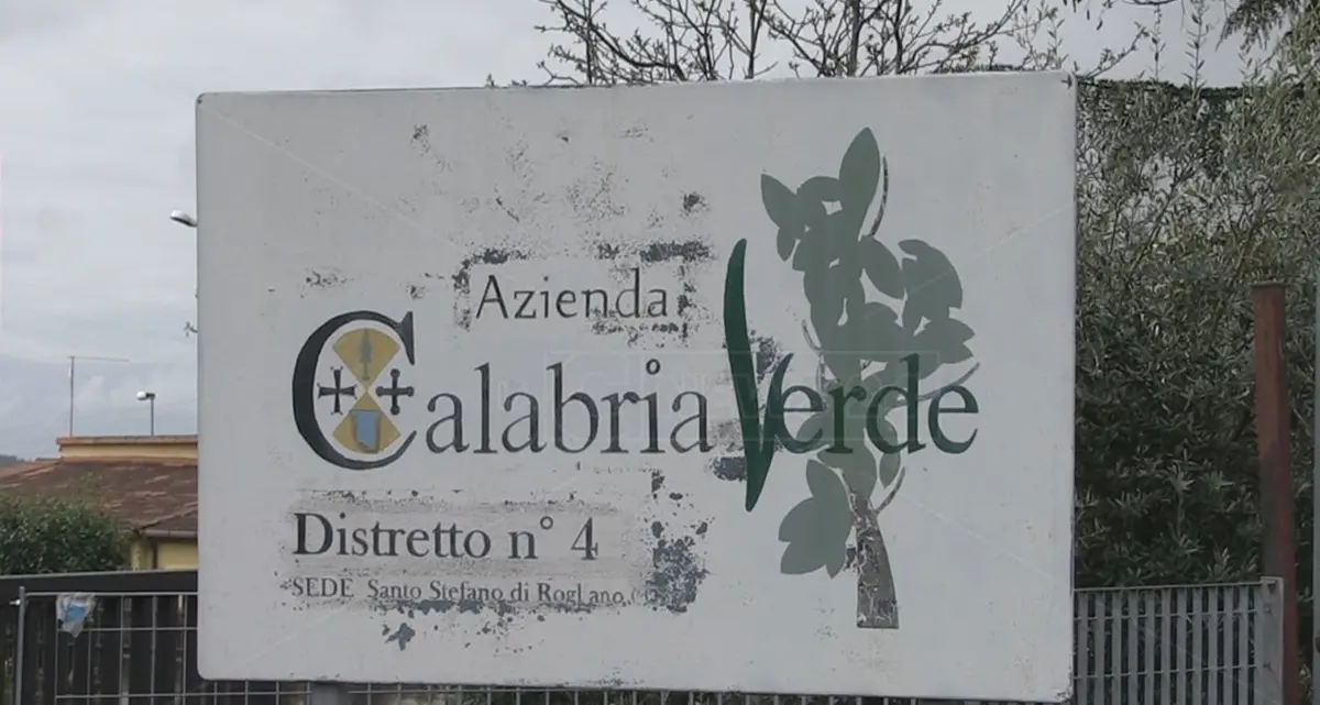 Calabria Verde, la Regione apre l’avviso per il nuovo direttore generale\n