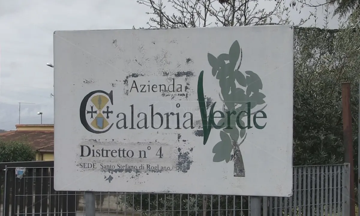 Calabria Verde, la Regione apre l’avviso per il nuovo direttore generale\n