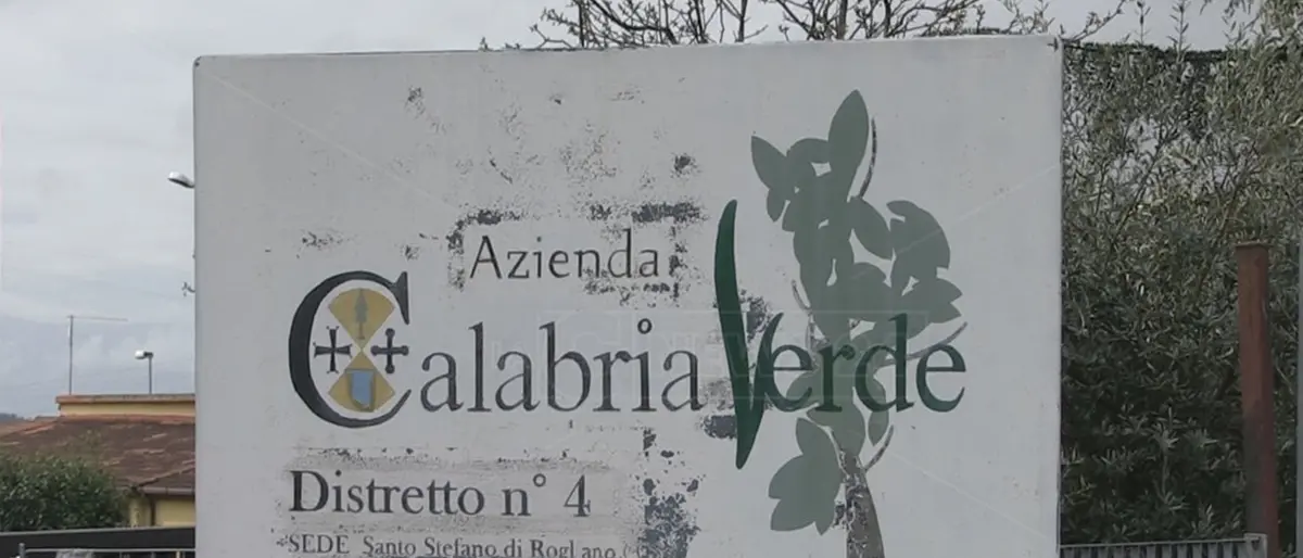 Calabria Verde, la Regione apre l’avviso per il nuovo direttore generale\n