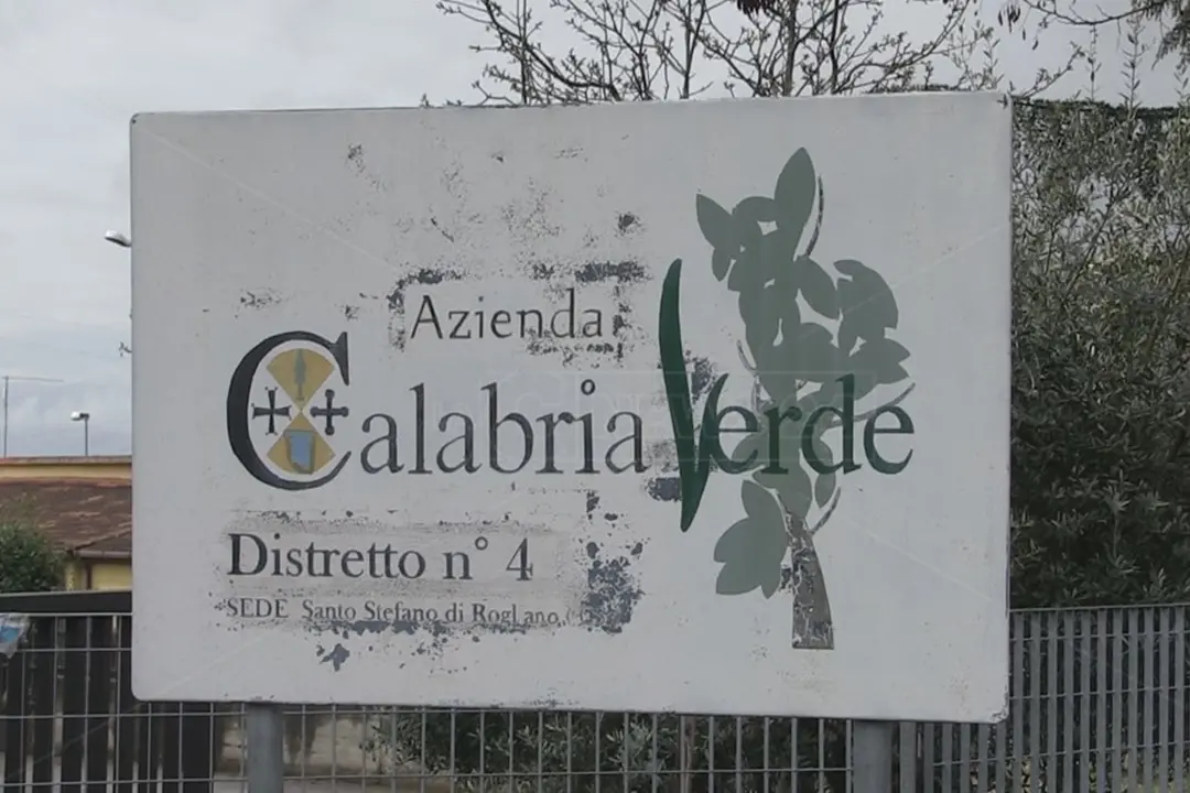 Calabria Verde, lavoratori pronti alla mobilitazione: la Cisl denuncia ritardi e demansionamenti\n