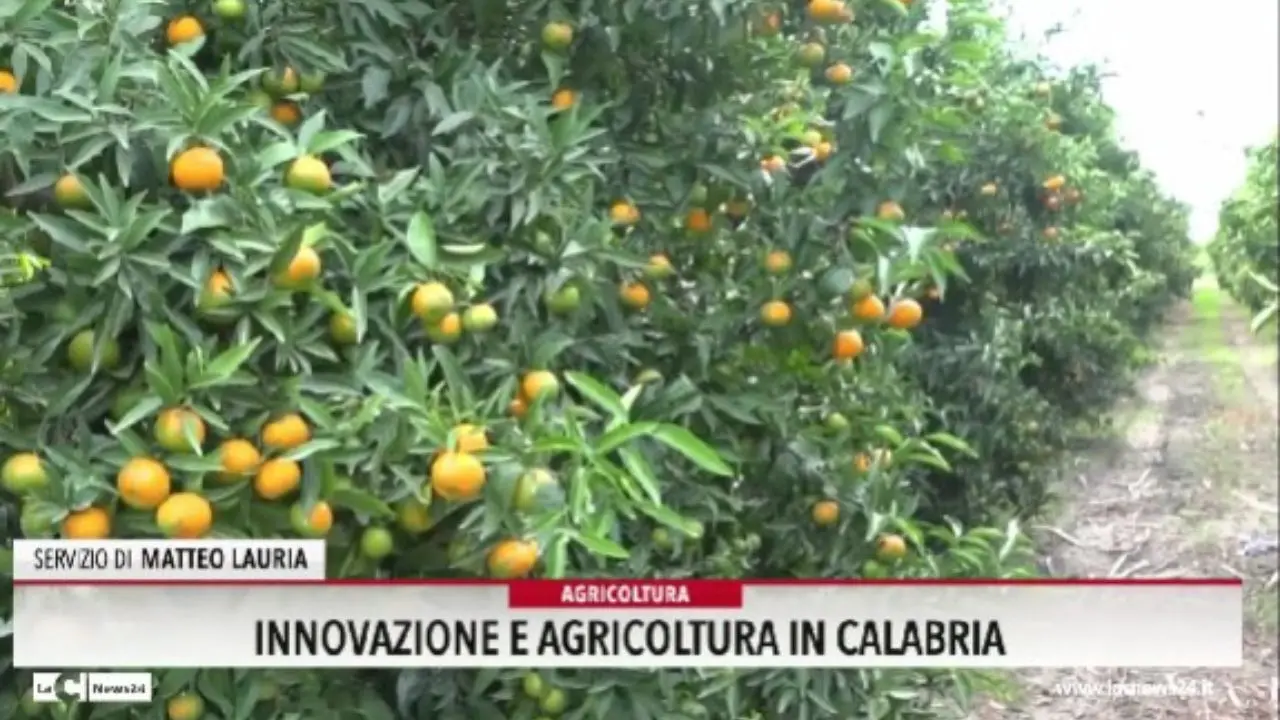 Innovazione e agricoltura in Calabria