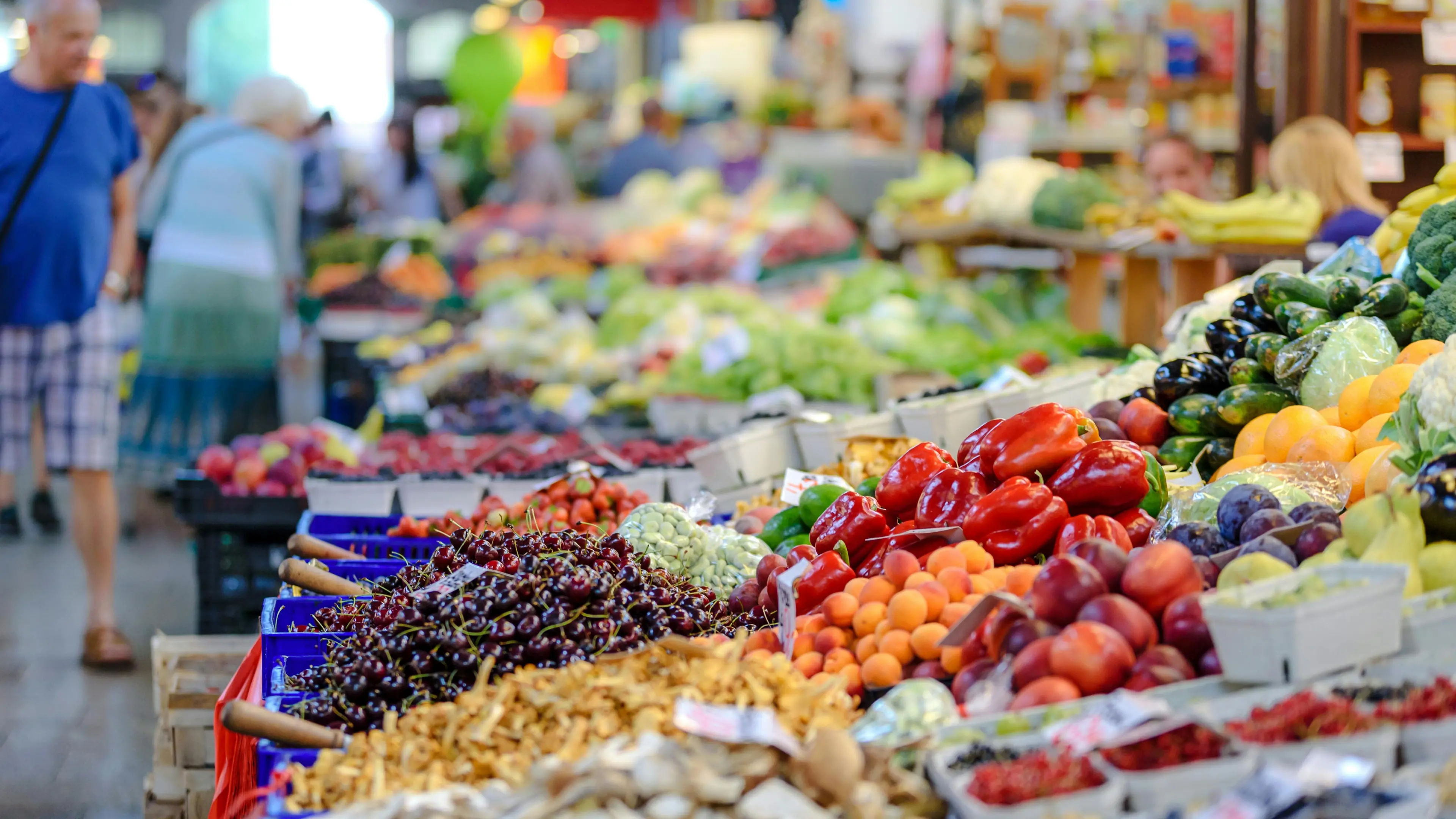 <p>In Calabria nel 2024 erano registrate 9.184 imprese, il 9% in meno rispetto all’anno precedente</p>\\n