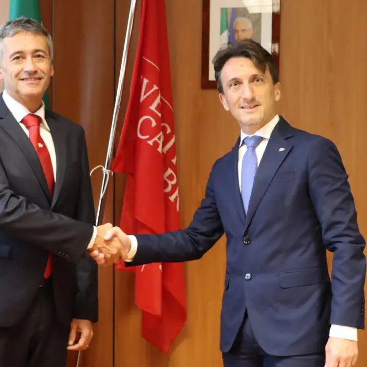 Unical, Greco nomina Stefano Curcio come nuovo Prorettore Vicario