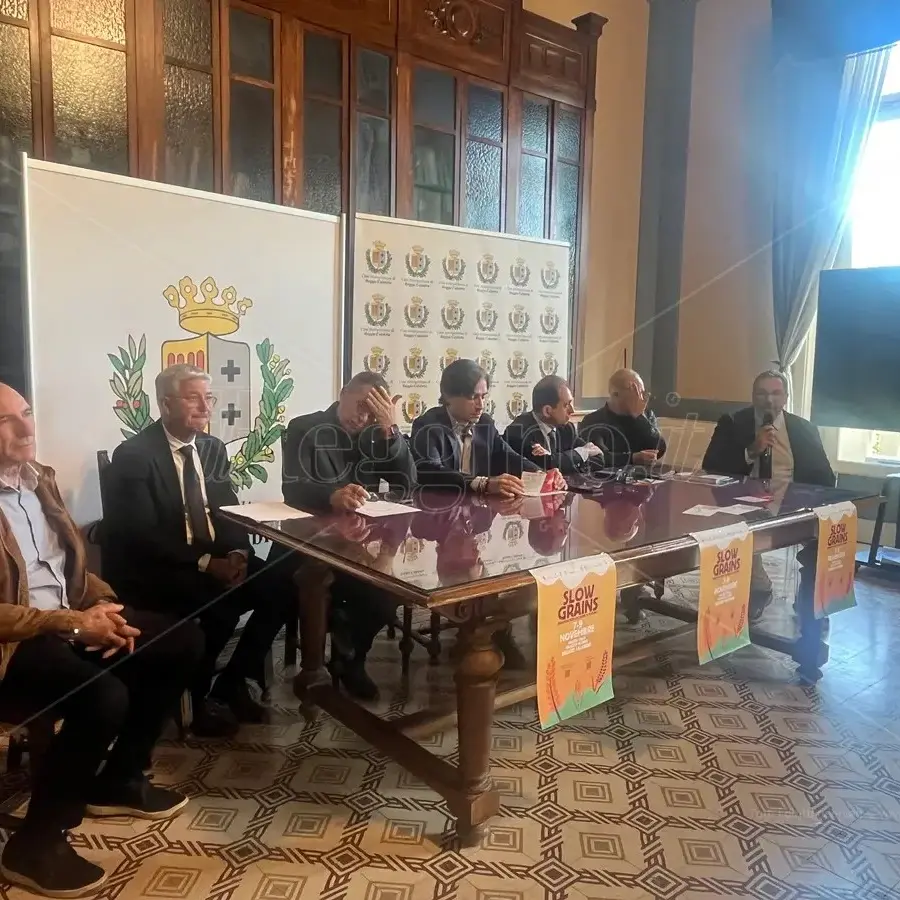 Il futuro nei campi: Slow Grains porta a Reggio la rivoluzione dei grani tramandati