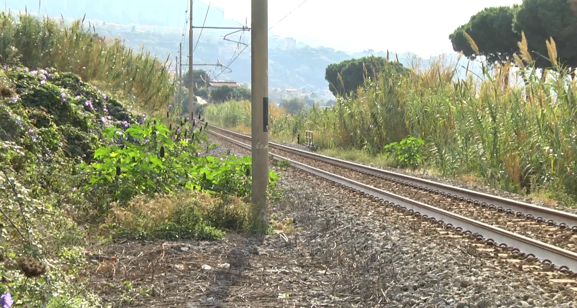 Nautico di Pizzo, eccellenza formativa ma senza collegamenti all’altezza. Il preside: «Riaprire la stazione Prangi. Poi faremo un convitto»\n