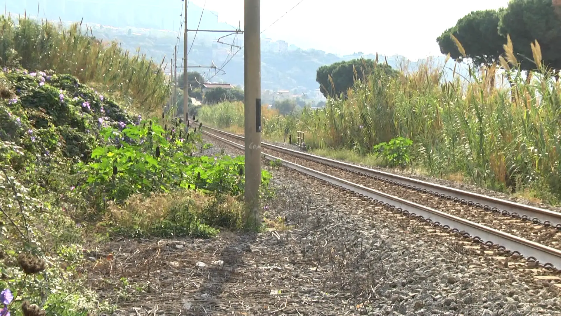 Nautico di Pizzo, eccellenza formativa ma senza collegamenti all’altezza. Il preside: «Riaprire la stazione Prangi. Poi faremo un convitto»\n