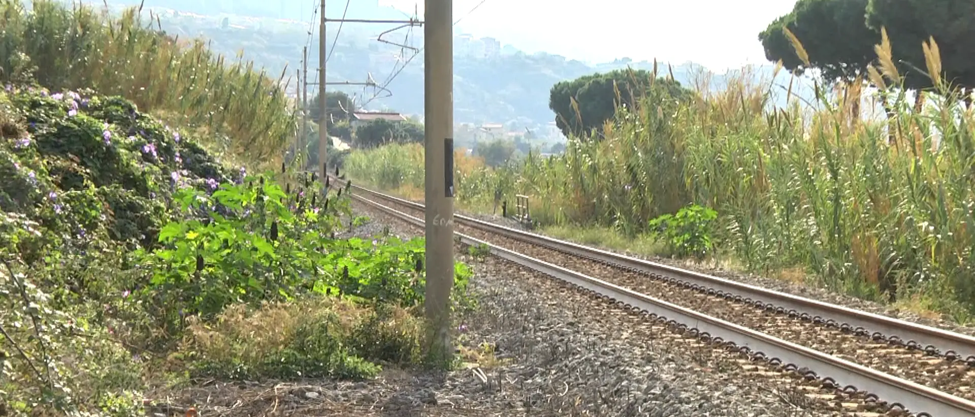 Nautico di Pizzo, eccellenza formativa ma senza collegamenti all’altezza. Il preside: «Riaprire la stazione Prangi. Poi faremo un convitto»\n