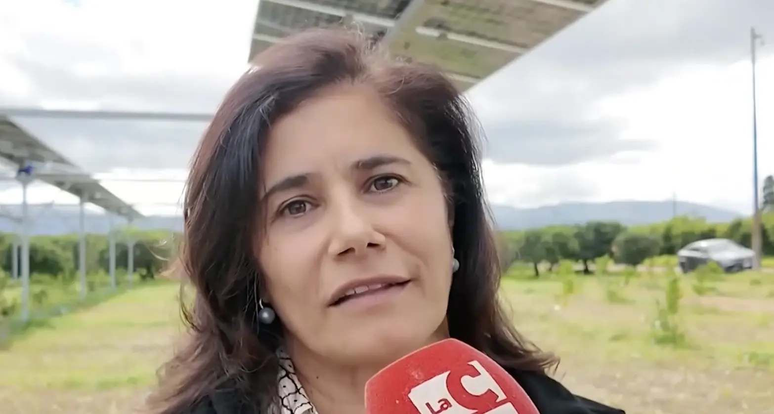 Innovazione, giovani e lavoro nei campi: la nuova rotta di Confagricoltura Cosenza