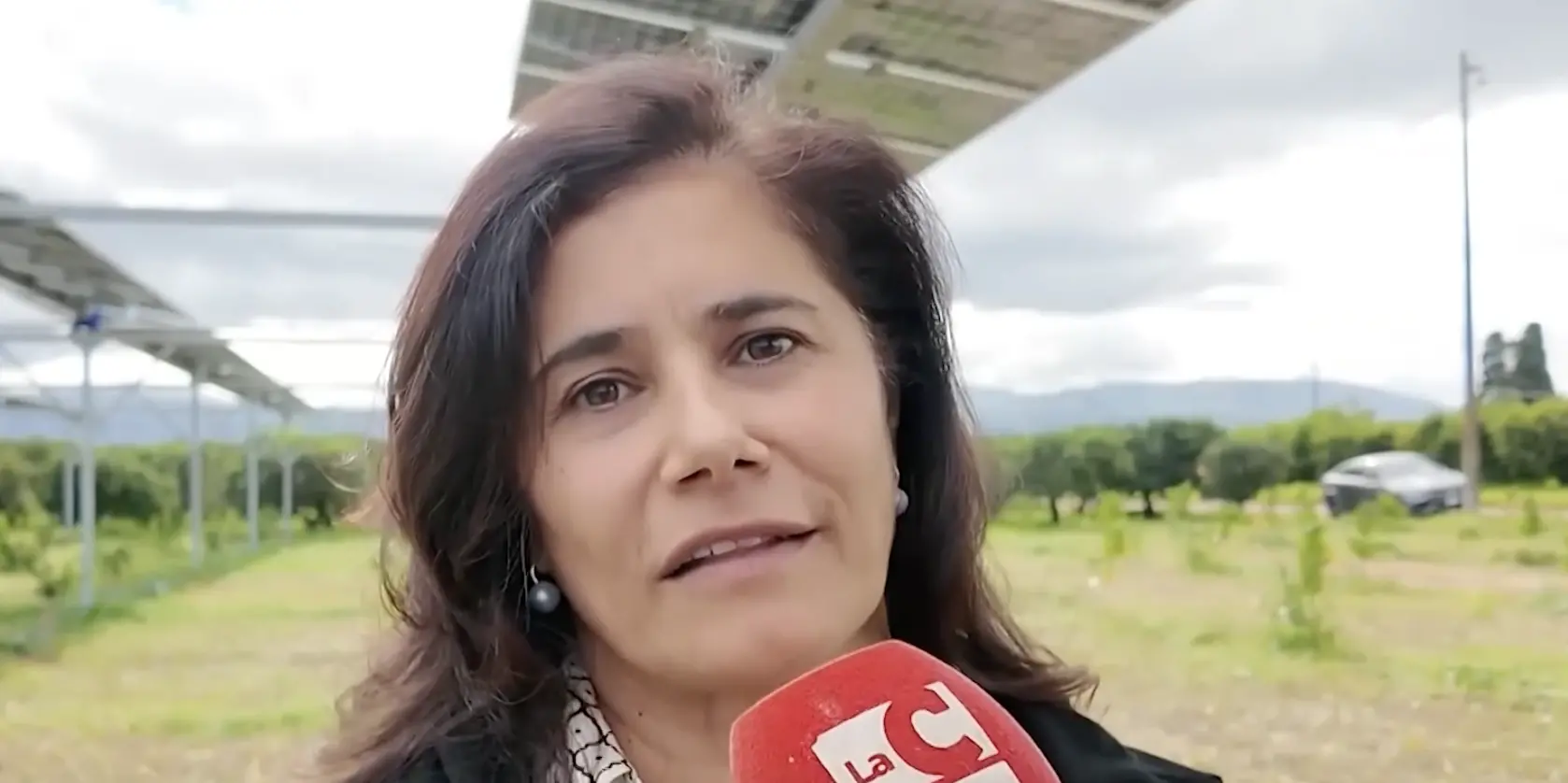 Innovazione, giovani e lavoro nei campi: la nuova rotta di Confagricoltura Cosenza