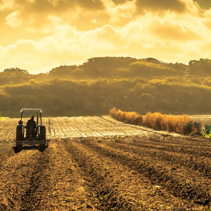 Per l’agricoltura il 2025 sarà un anno decisivo. E in Calabria il settore teme il cambiamento climatico\n