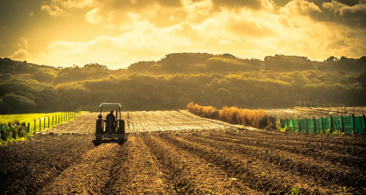 Per l’agricoltura il 2025 sarà un anno decisivo. E in Calabria il settore teme il cambiamento climatico\n