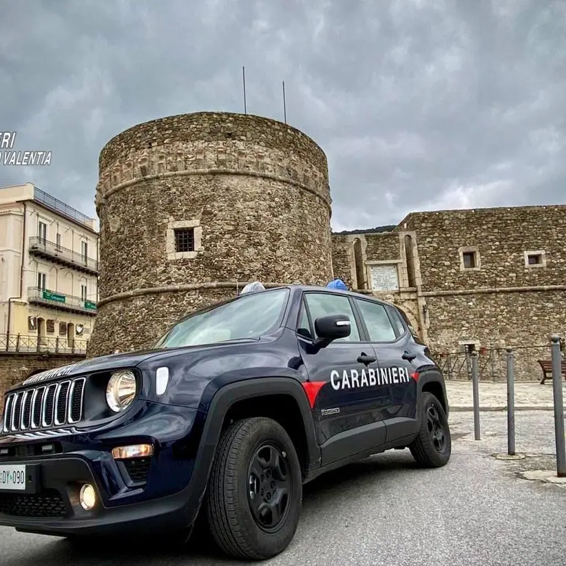 I carabinieri arrestano\u00A0il presunto autore di tre furti d’auto avvenuti a Pizzo e Vibo Marina\n