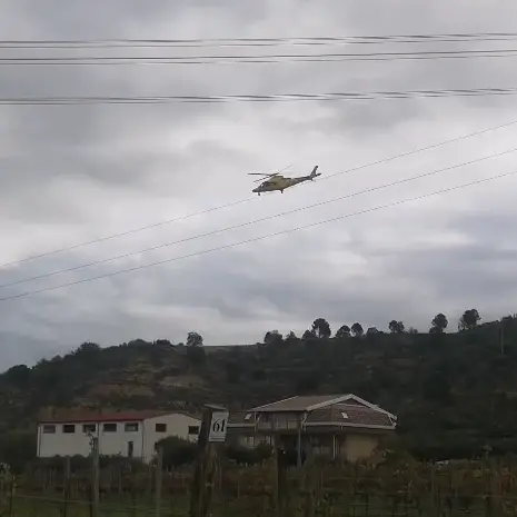 Incidente stradale nel Catanzarese, un uomo è stato investito da un’auto: interviene l'elisoccorso