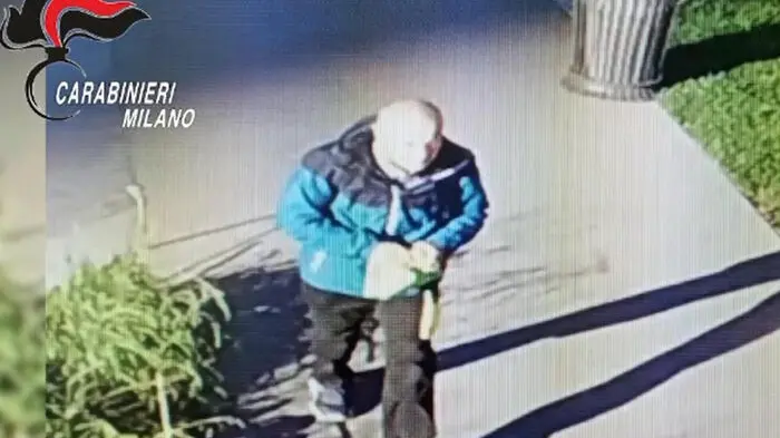Il fermo immagine, tratto da un video dei Carabinieri, mostra l\\'aggressore di Anna Laura Valsecchi, 03 novembre 2025 , ANSA