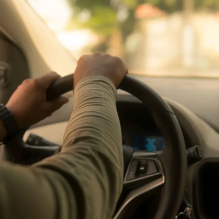 La Calabria vince ancora davanti alla Consulta: stop ai vincoli statali sul noleggio con conducente\n