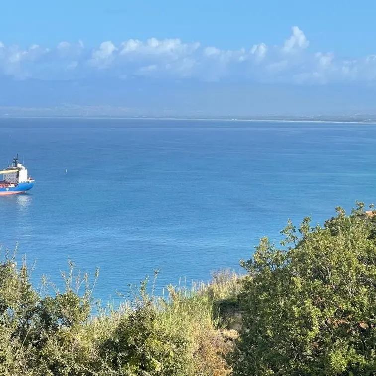 Nave cargo ancorata tra Pizzo e Vibo Marina sulla prateria di Posidonia, l’allarme: «Quella è un’area di interesse comunitario»