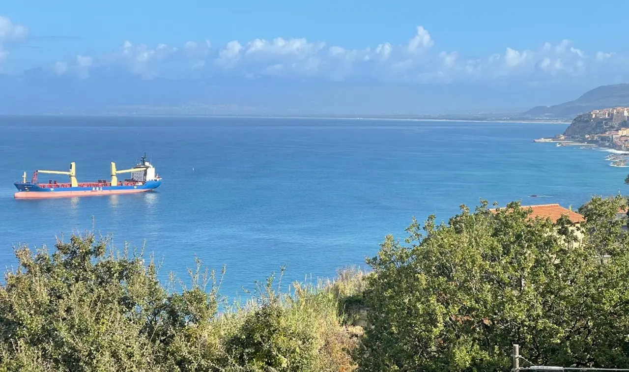 Nave cargo ancorata tra Pizzo e Vibo Marina sulla prateria di Posidonia, l’allarme: «Quella è un’area di interesse comunitario»