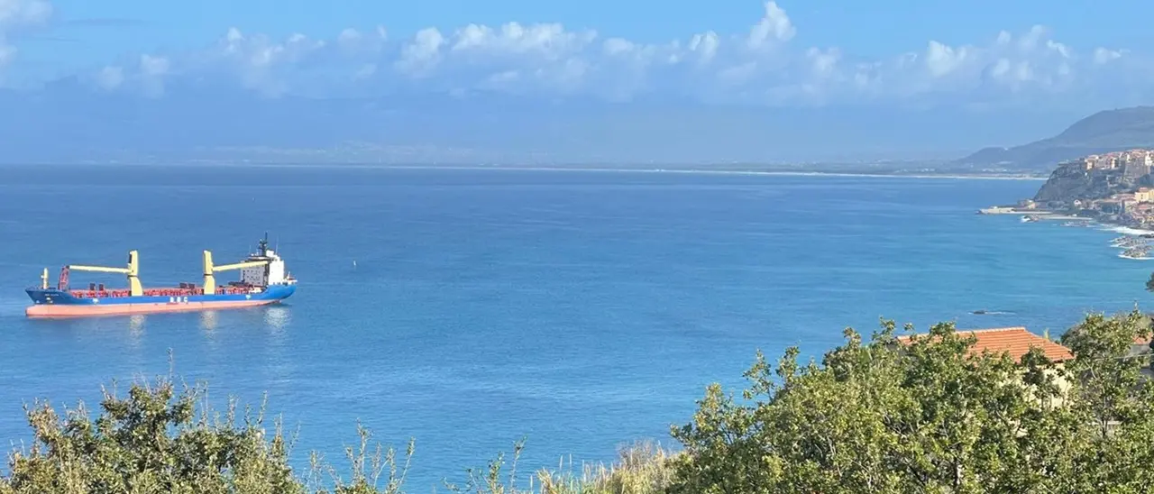 Nave cargo ancorata tra Pizzo e Vibo Marina sulla prateria di Posidonia, l’allarme: «Quella è un’area di interesse comunitario»