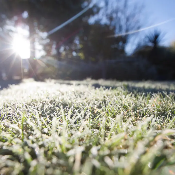 Meteo Cosenza, intensa inversione termica. Di notte si gela in Sila, in città tra 4°C e 5°C
