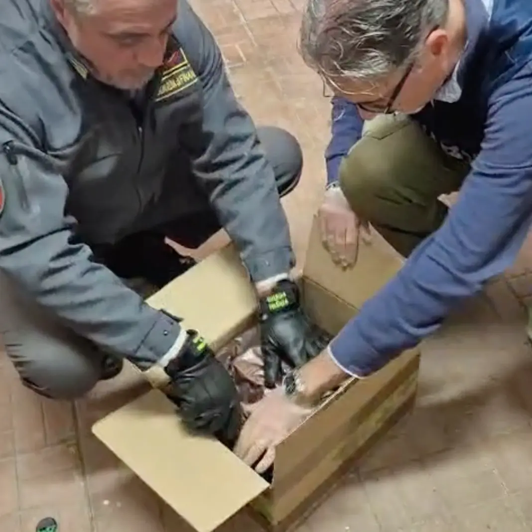 Viaggiava su un tir verso la Sicilia: arrestato con 7 kg di coca e hashish