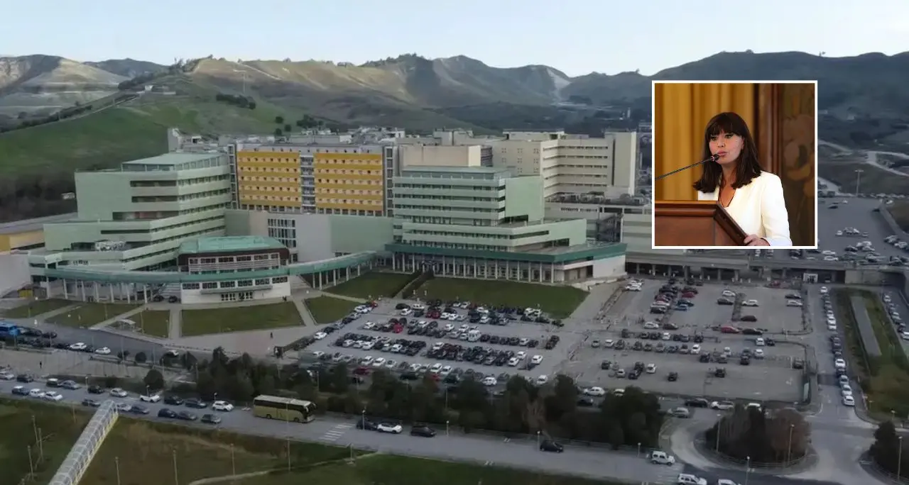 Moschea all’Università di Catanzaro, Bernini\u00A0risponde a Sasso:\u00A0«Semplice luogo preposto alla preghiera ma vigileremo»\n