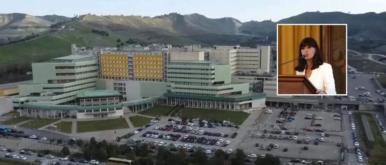 Moschea all’Università di Catanzaro, Bernini\u00A0risponde a Sasso:\u00A0«Semplice luogo preposto alla preghiera ma vigileremo»\n