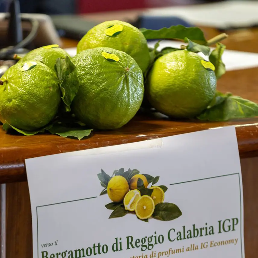 Il Bergamotto di Reggio Calabria pretende l’avvio di una fase positiva per la creazione di ricchezza diffusa