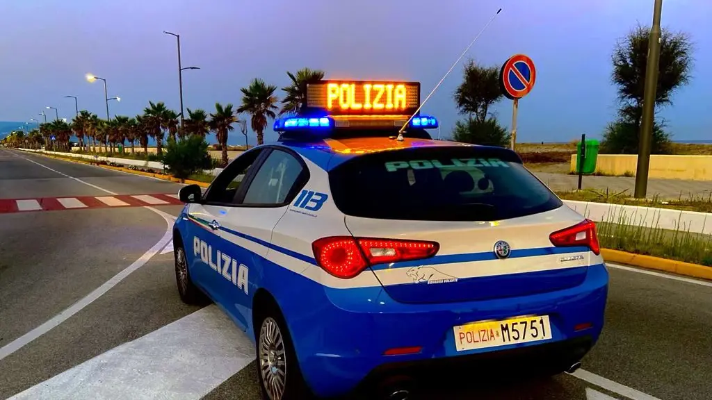 Intensificati i controlli di Polizia nella Piana di Gioia Tauro\n