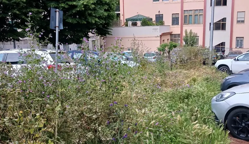 La giungla del parcheggio Aldo Moro pessimo biglietto da visita