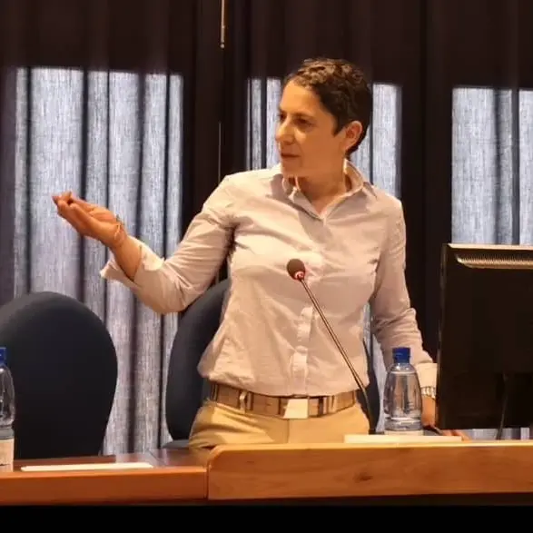 Consiglio comunale, Manuela Costanzo vicepresidente