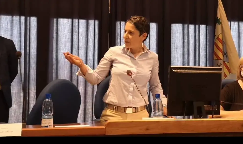 Consiglio comunale, Manuela Costanzo vicepresidente