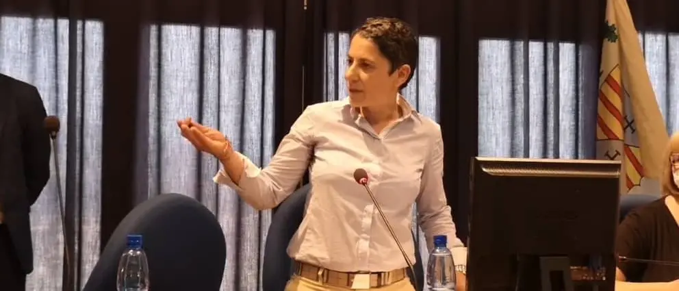 Consiglio comunale, Manuela Costanzo vicepresidente