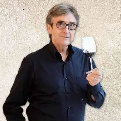 Cotarella: \"Al vino calabrese serve brand unico\" - VIDEO