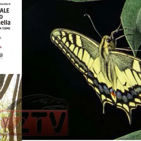 Lamezia, Giulia Mercuri terza al concorso \"Natura è Cultura: gli studenti fotografano la natura\"