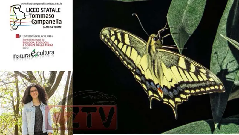 Lamezia, Giulia Mercuri terza al concorso \"Natura è Cultura: gli studenti fotografano la natura\"