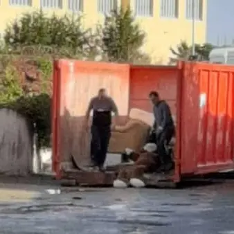 Alluvione, Borelli: \"Come fare per la richiesta di risarcimento\"