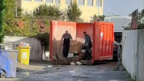 Alluvione, Borelli: \"Come fare per la richiesta di risarcimento\"