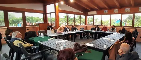 Politica: bagliori oltre la siepe per 'Primavera della Calabria'
