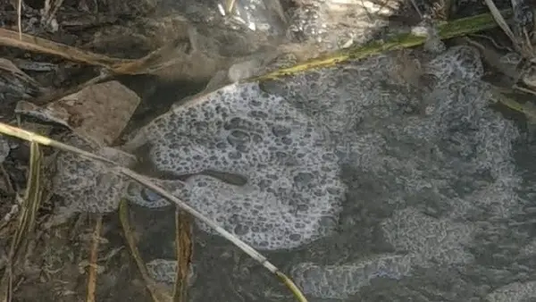 Sversamenti in mare: \"In Via Sardegna evidente abuso\"