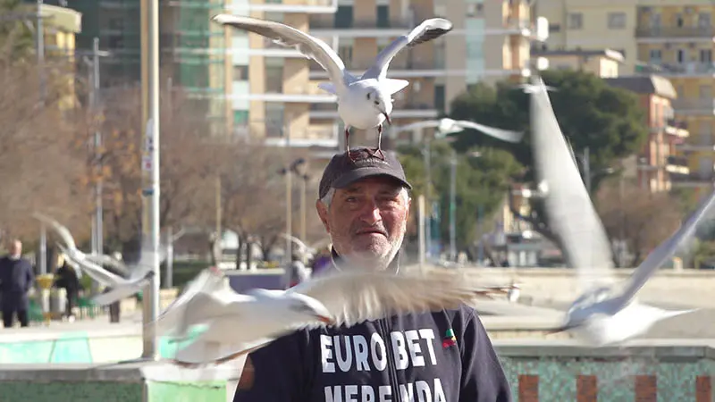 Spettacolo sul lungomare con \"Roberto dei gabbiani\"