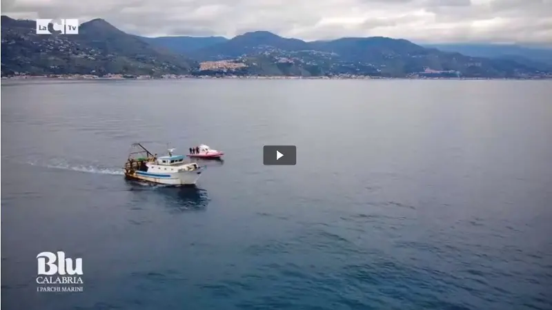 LAC TV: primo \"tuffo\" nel mare 'Blu Calabria' - VIDEO