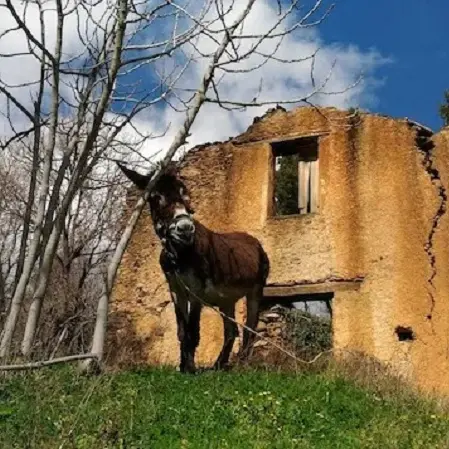 \"Festival delle Erranze e della Filoxenia\", tutto pronto per l'edizione 2021
