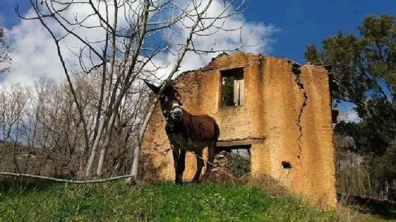 \"Festival delle Erranze e della Filoxenia\", tutto pronto per l'edizione 2021