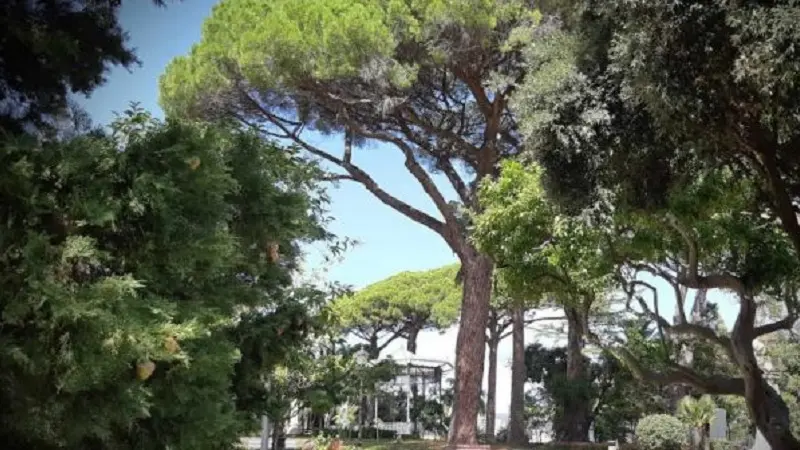 La Villa si rianima: \"Ci vediamo daMargherita\"