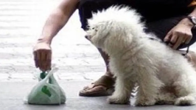 Dal 18 giugno maggiore attenzione ai bisognini di \"Fido\"